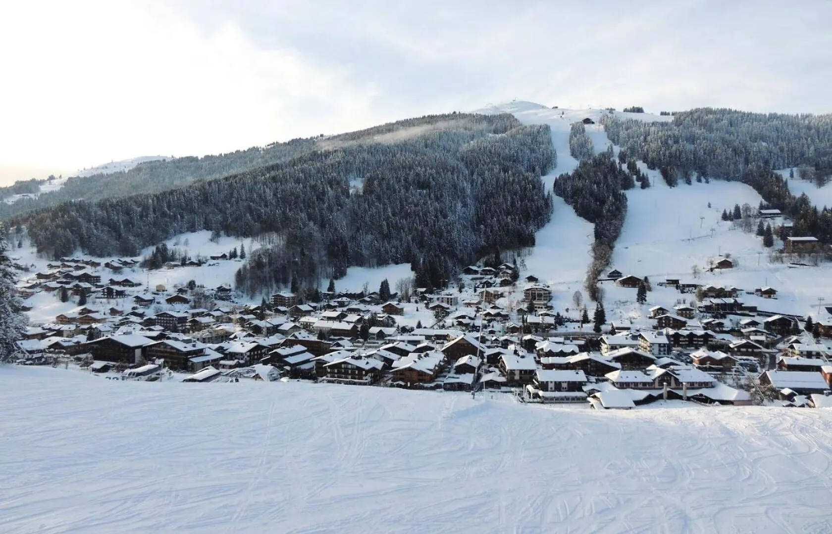 Residence Grizzly - Appartement Skis Aux Pieds, Entierement Renove Mae-1051 Les Gets 0*,  France